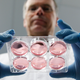 Professor Mark Post holds a tray of in-vitro meat samples that will become lab-grown burgers